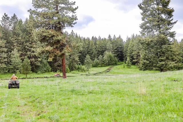 $3,866,800 | 205 Burnt Crk Road, Cottonwood, ID 83522