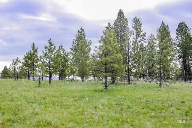 $3,866,800 | 205 Burnt Crk Road, Cottonwood, ID 83522