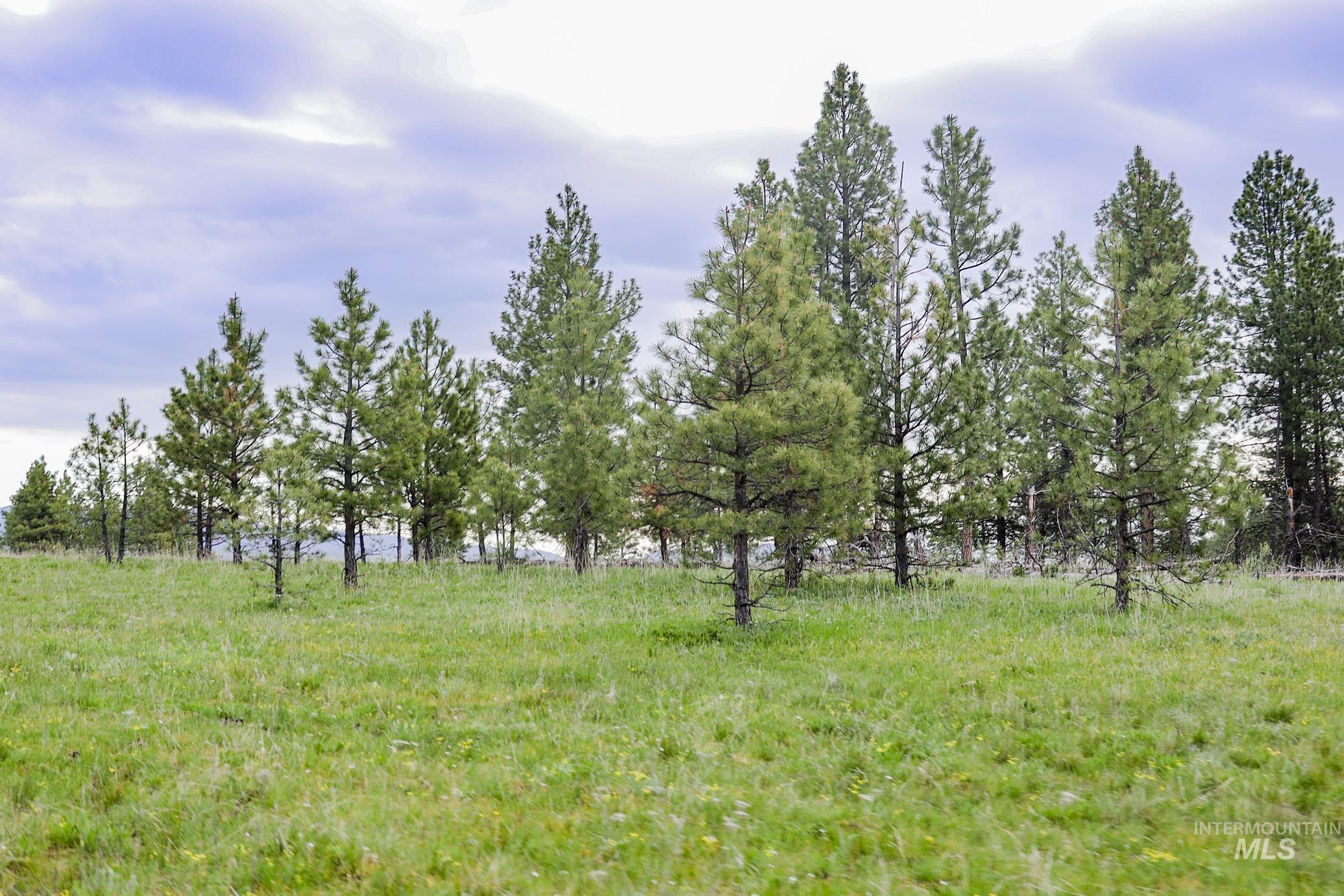 205 Burnt Crk Road Cottonwood, ID 83522 - Photo 24 of 25