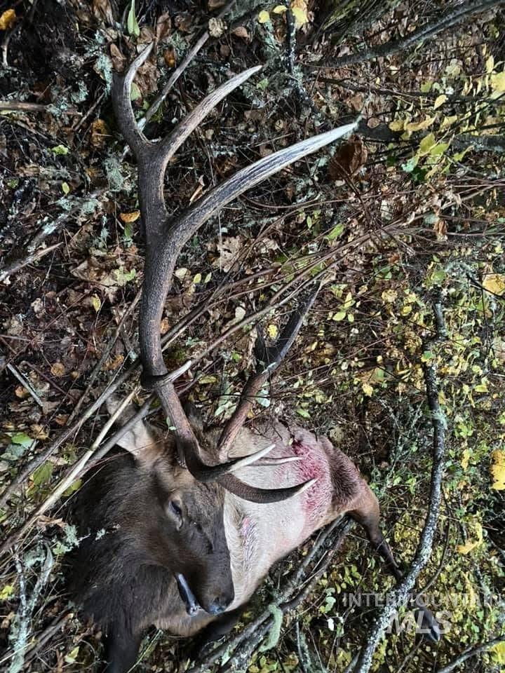 205 Burnt Crk Road Cottonwood, ID 83522 - Photo 25 of 25