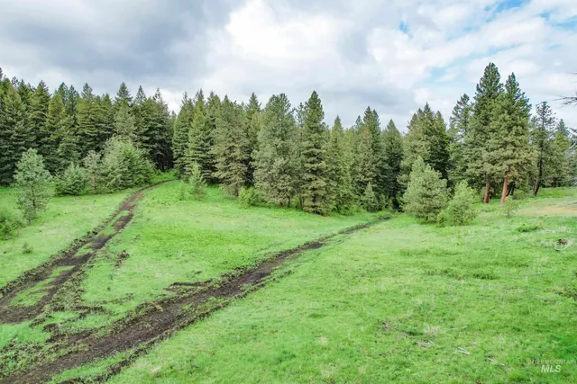 $3,866,800 | 205 Burnt Crk Road, Cottonwood, ID 83522