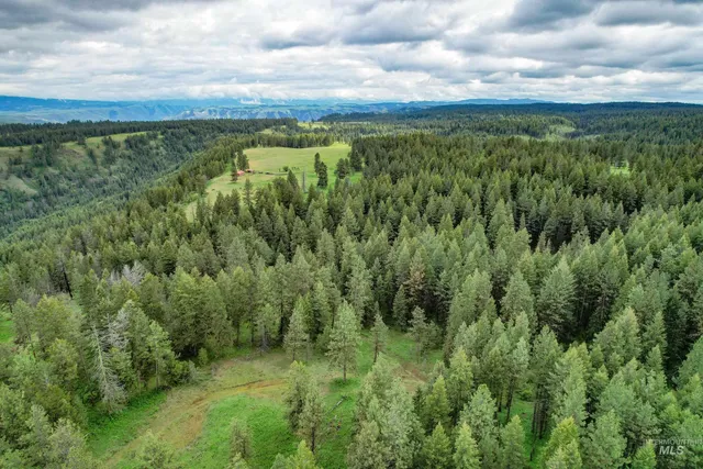 $3,866,800 | 205 Burnt Crk Road, Cottonwood, ID 83522