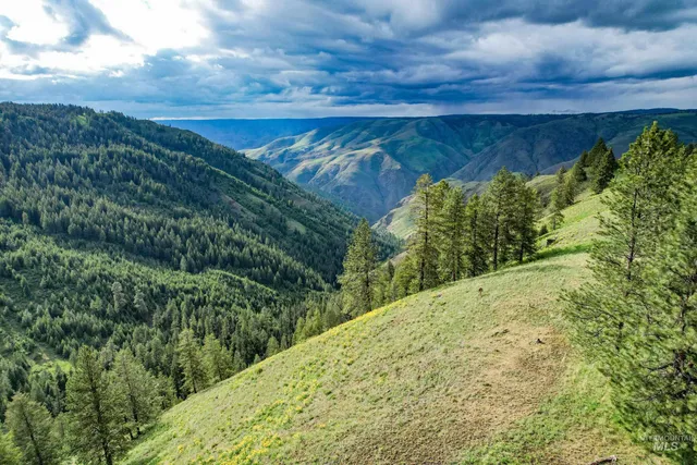 $3,866,800 | 205 Burnt Crk Road, Cottonwood, ID 83522