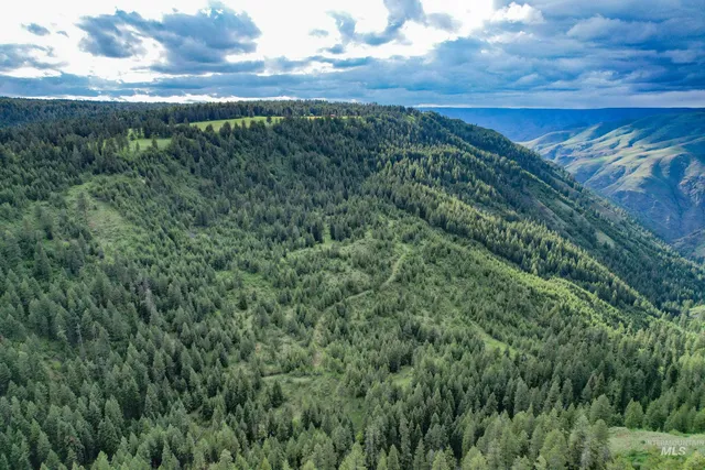 $3,866,800 | 205 Burnt Crk Road, Cottonwood, ID 83522