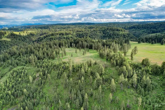 $3,866,800 | 205 Burnt Crk Road, Cottonwood, ID 83522