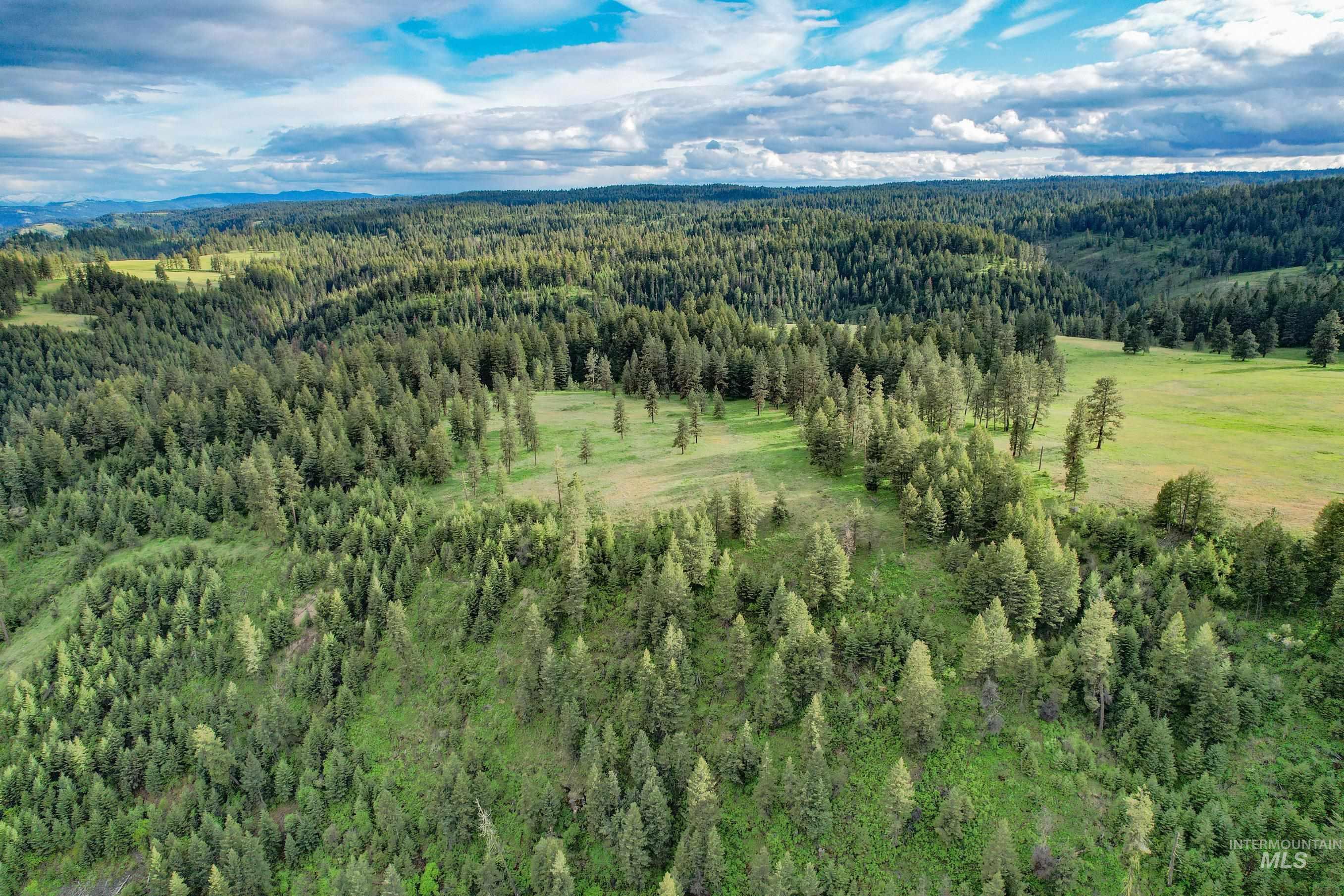 205 Burnt Crk Road Cottonwood, ID 83522 - Photo 7 of 25