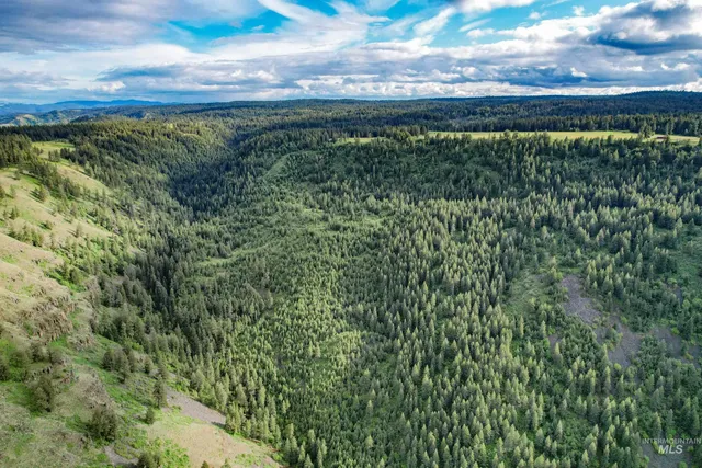 $3,866,800 | 205 Burnt Crk Road, Cottonwood, ID 83522