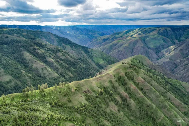 $3,866,800 | 205 Burnt Crk Road, Cottonwood, ID 83522