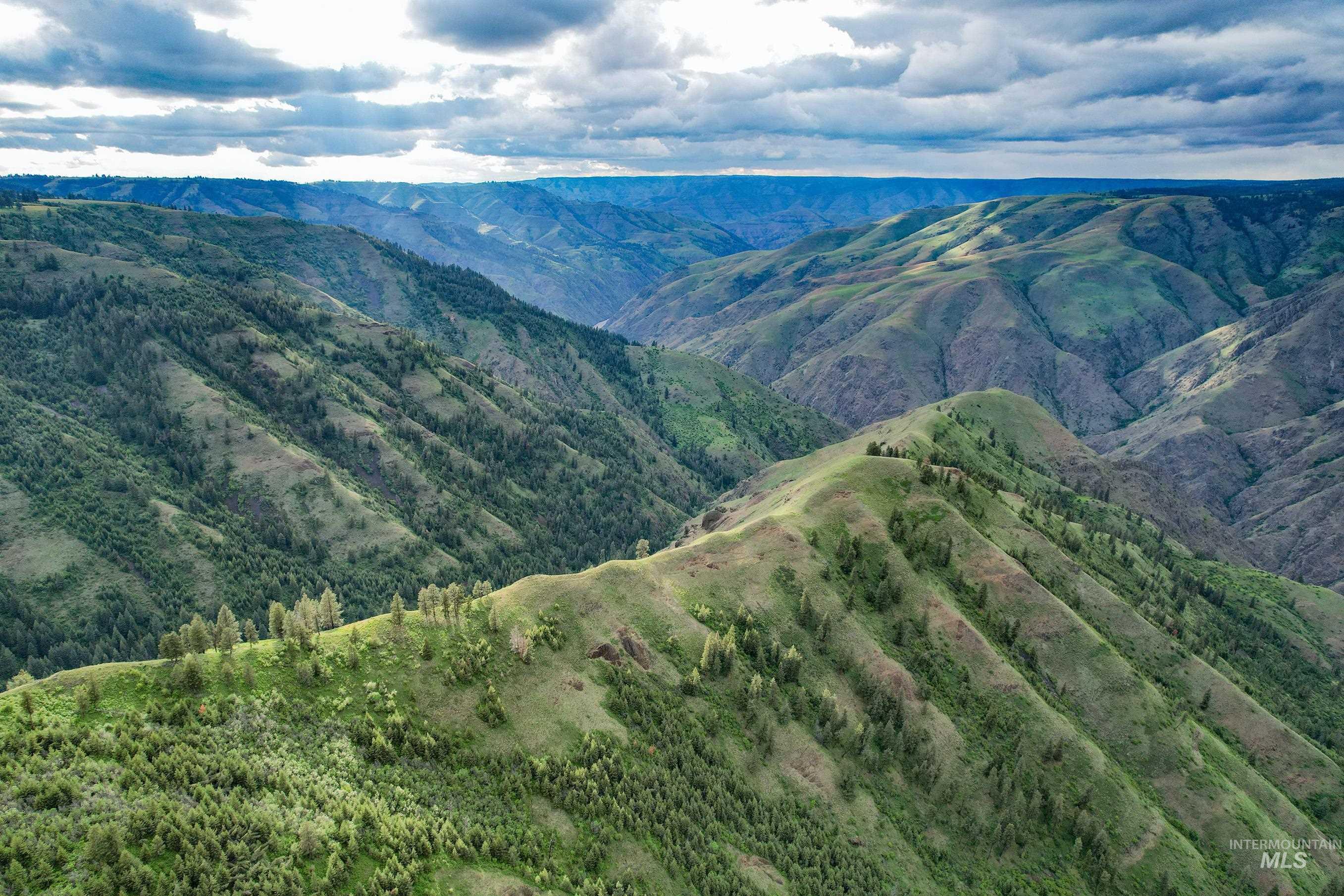 205 Burnt Crk Road Cottonwood, ID 83522 - Photo 9 of 25