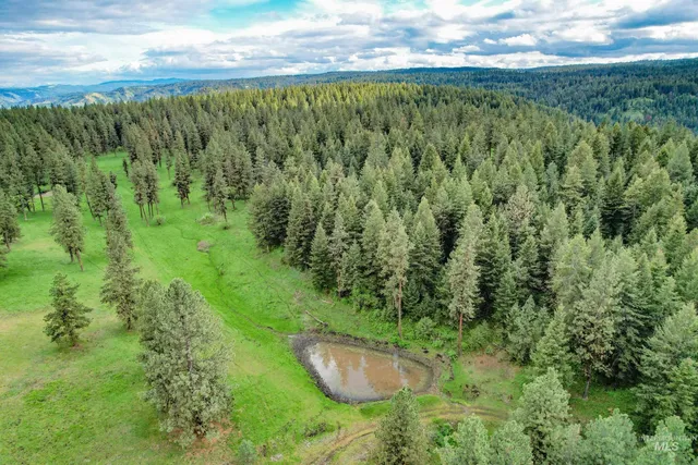 $3,866,800 | 205 Burnt Crk Road, Cottonwood, ID 83522