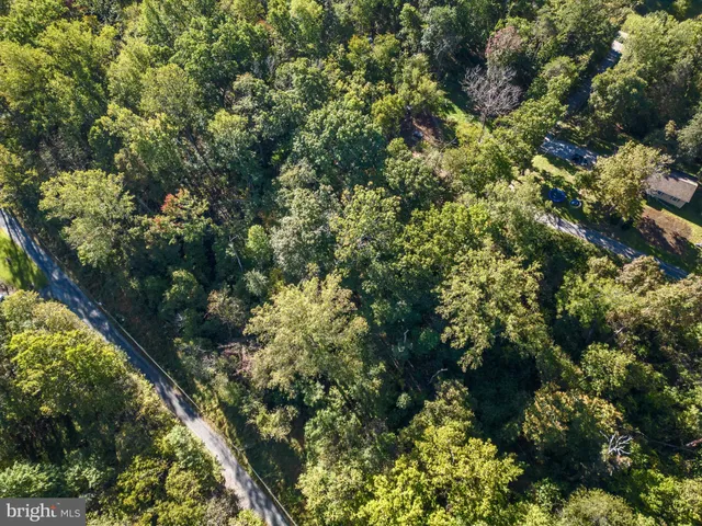 a view of a house with a tree