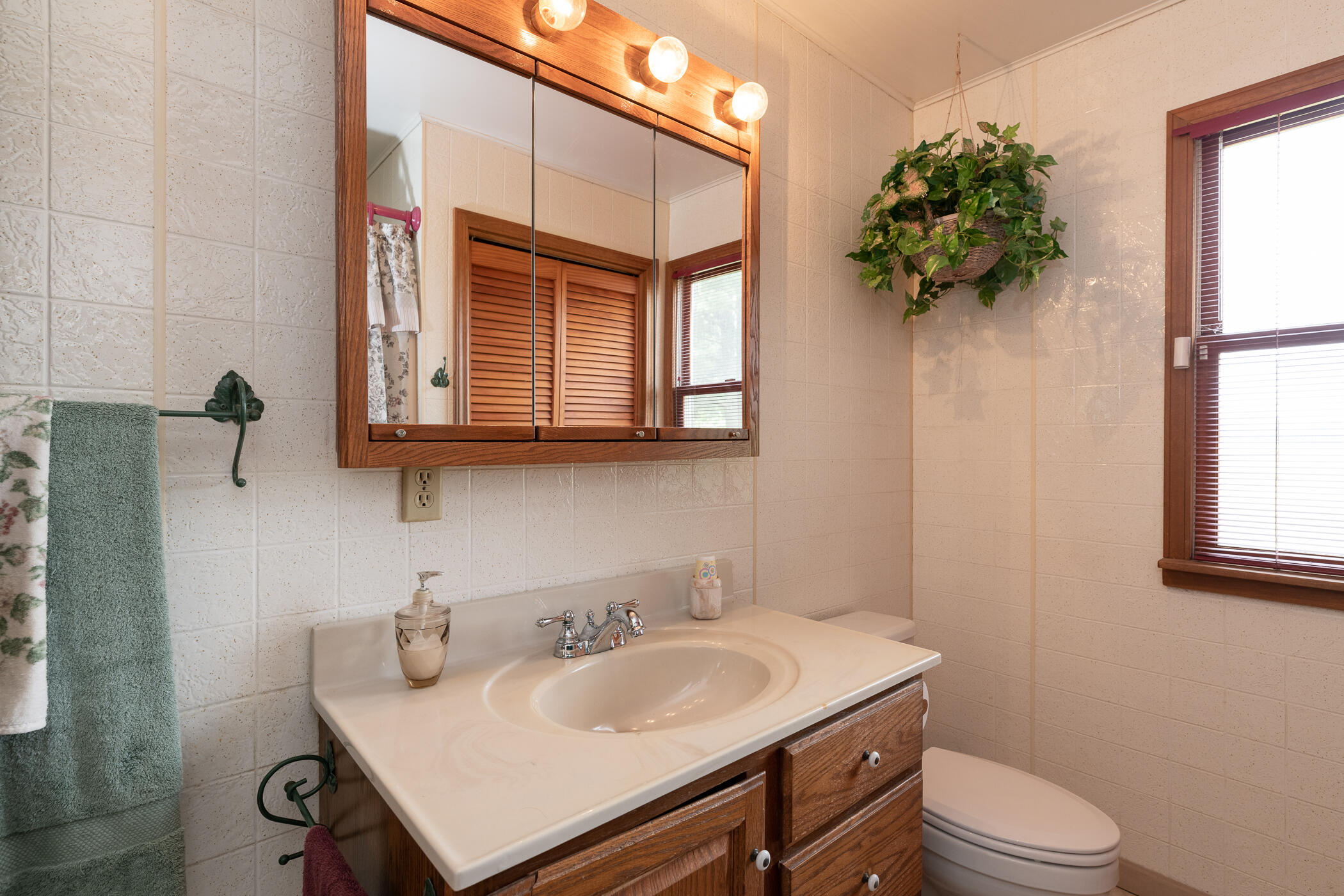 56049 Buckhorn Road Three Rivers, MI 49093 - Photo 15 of 68 56049 Buckhorn Rd-35