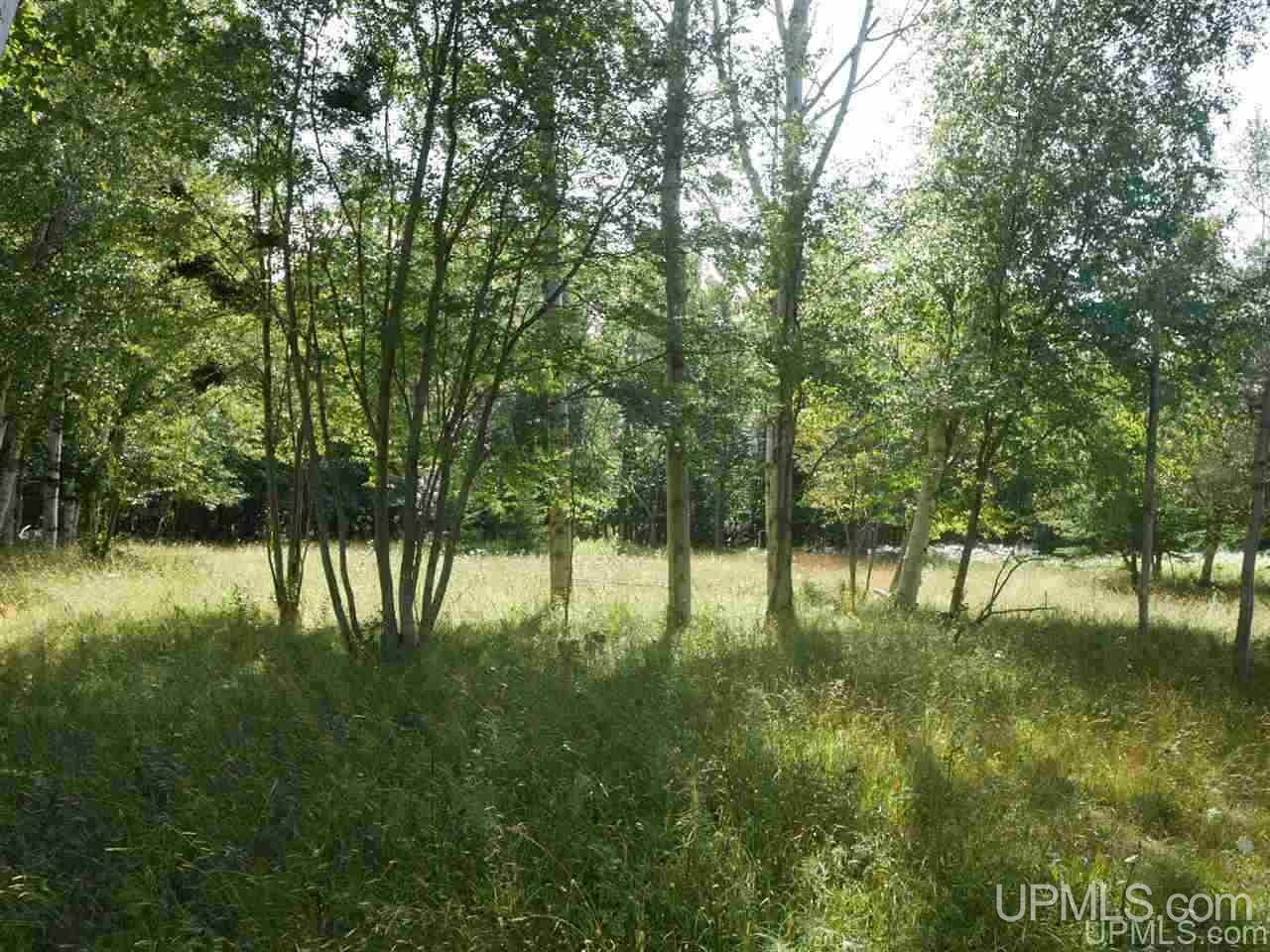 56917 Koskela Road Calumet, MI 49913 - Photo 11 of 36