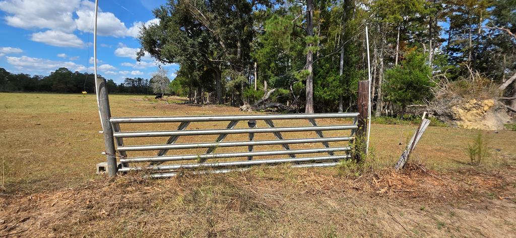 5.8-acres Nobles Road Cottonwood, AL 36320 - Photo 14 of 29