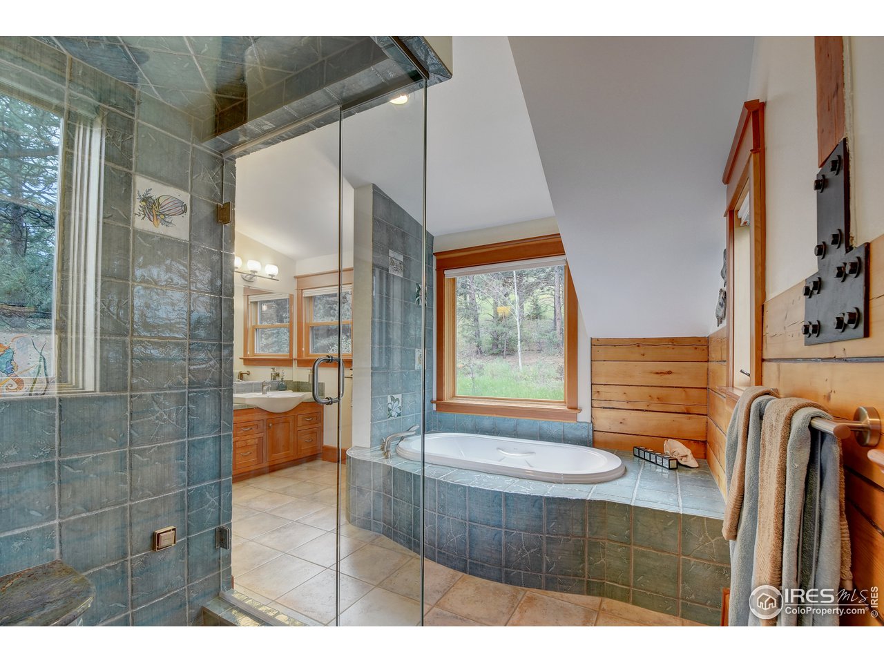 115 Pika Road Boulder, CO 80302 - Photo 19 of 40 Steam shower allows aromatherapy