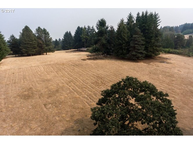 16641 Southeast Woodland Heights Road Amity, OR 97101 - Photo 2 of 6