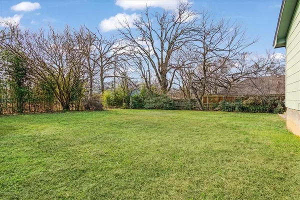 a view of a field with large trees