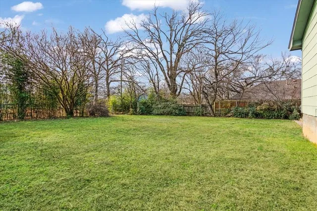a view of a field with large trees
