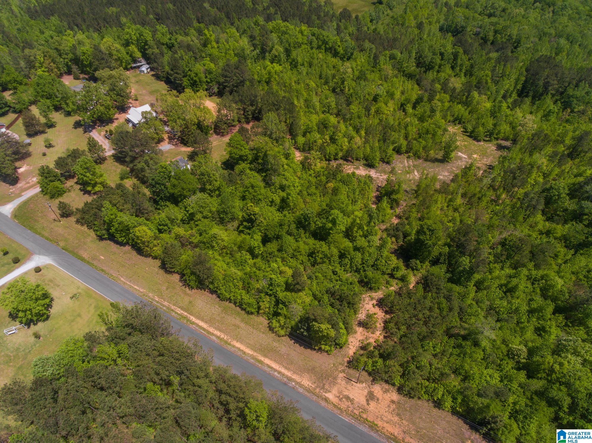 1326 Pine Ridge Road Wellington, AL 36279 - Photo 9 of 15
