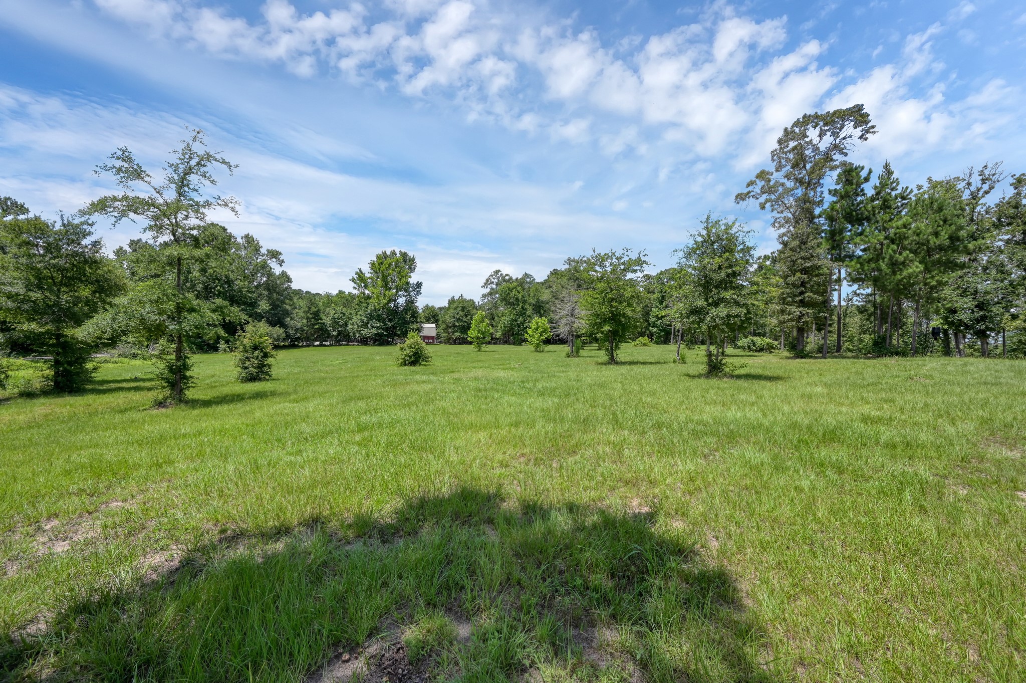 400 Raven Hill Road Oakhurst, TX 77359 - Photo 4 of 45 a view of a green field with trees