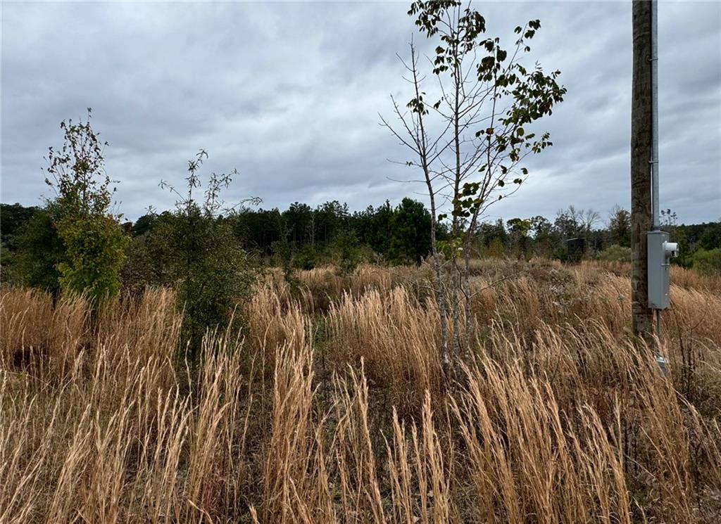 0 Dug Leckie Road Pollock, LA 71467 - Photo 2 of 7