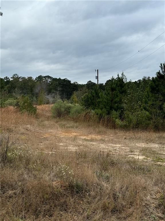 0 Dug Leckie Road Pollock, LA 71467 - Photo 3 of 7