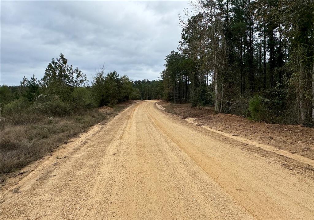 0 Dug Leckie Road Pollock, LA 71467 - Photo 4 of 7