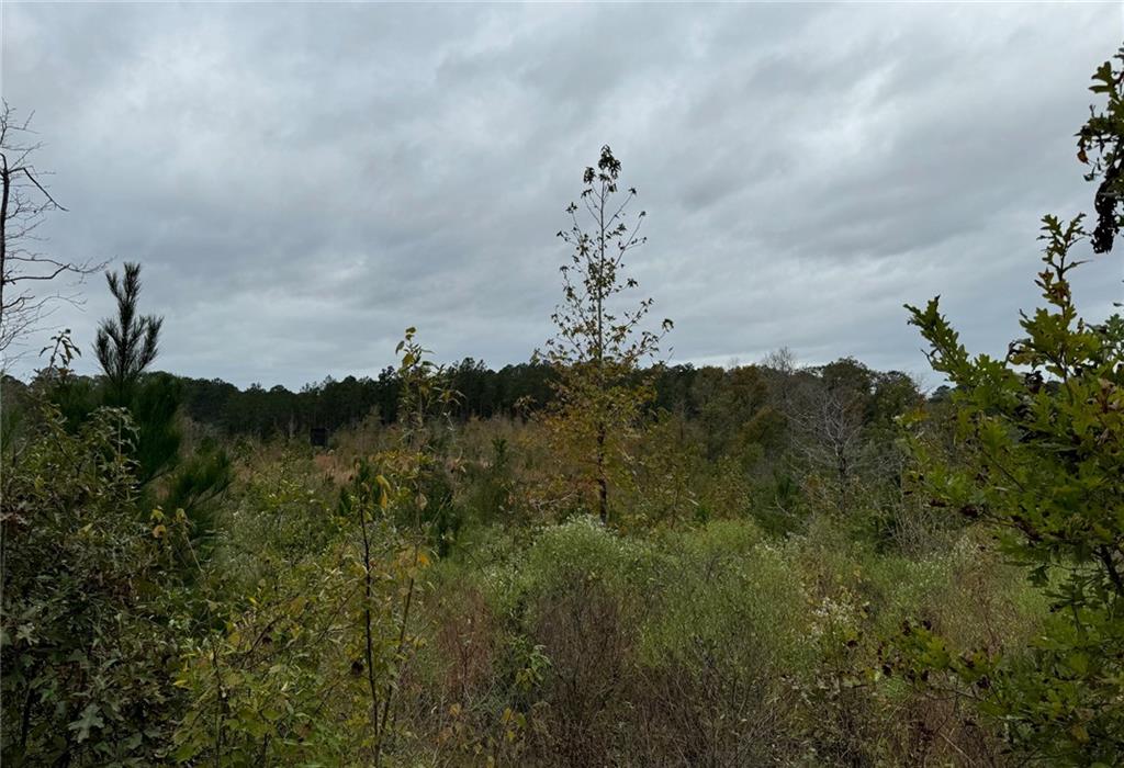 0 Dug Leckie Road Pollock, LA 71467 - Photo 5 of 7