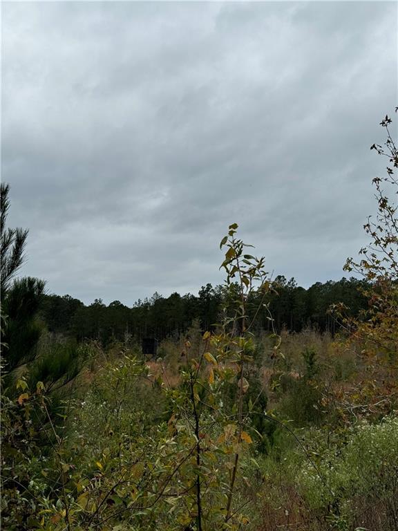 0 Dug Leckie Road Pollock, LA 71467 - Photo 6 of 7