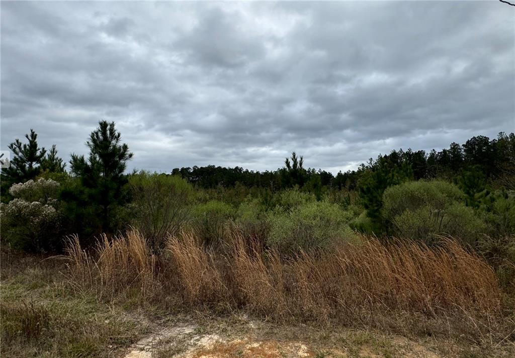 0 Dug Leckie Road Pollock, LA 71467 - Photo 7 of 7