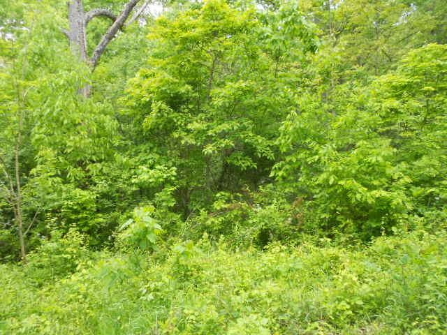 11052 Frankfort Road Waddy, KY 40076 - Photo 6 of 8 Photo 6
