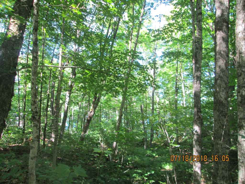 40 Ed Bates Road, Unit 25 Averill, VT 05901 - Photo 8 of 9