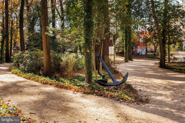 a view of a garden with plants and trees