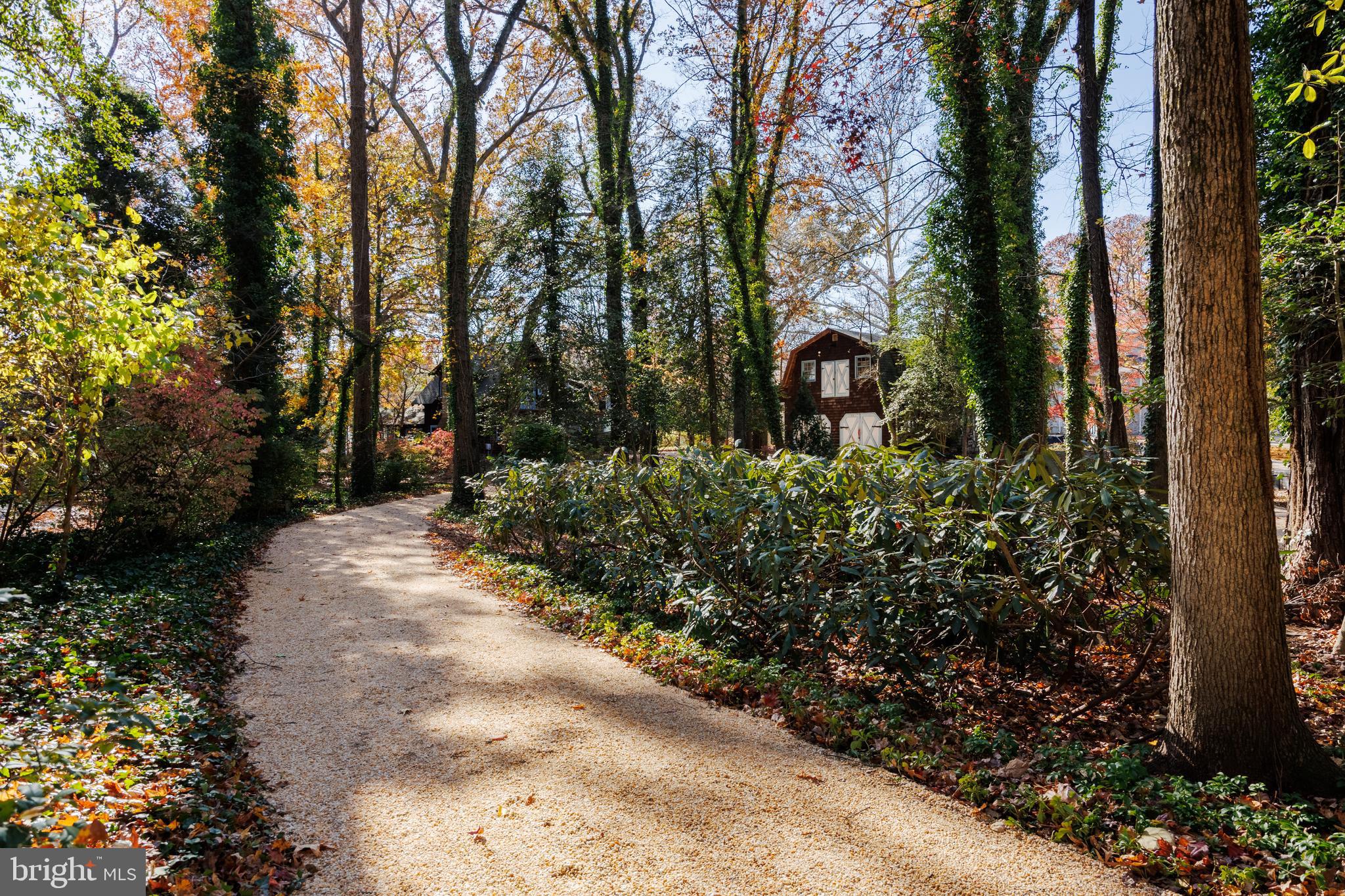 203 McKinsey Road Severna Park, MD 21146 - Photo 3 of 149 Circular Driveway with New Gravel