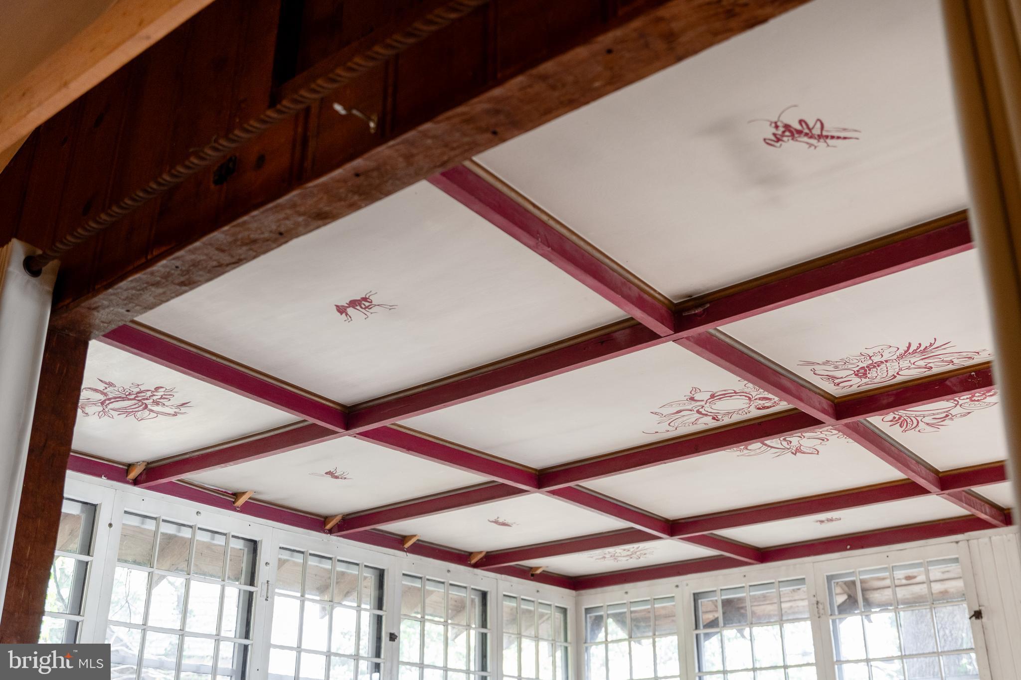 203 McKinsey Road Severna Park, MD 21146 - Photo 44 of 149 Decorative Ceiling in Sunroom
