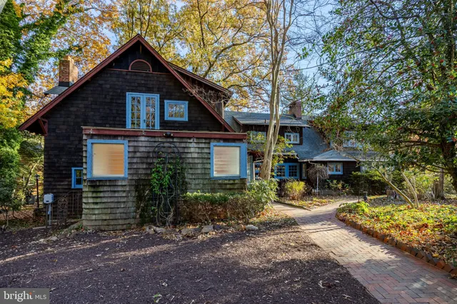 a view of a garden with plants and large trees