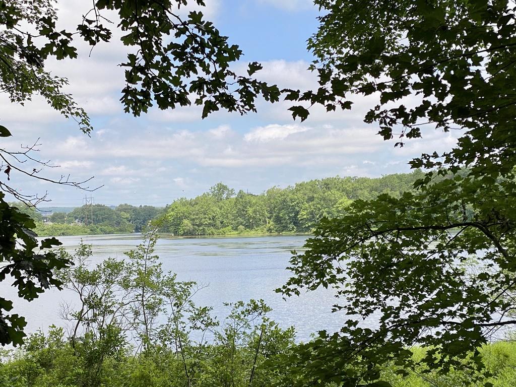 21 Faulkner Road Grafton, MA 01536 - Photo 1 of 31 Gallery Image 1
