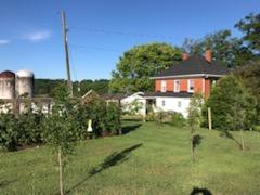 1705 Kin Vale Road Rocky Mount, VA 24151 - Photo 53 of 60 Back of Home