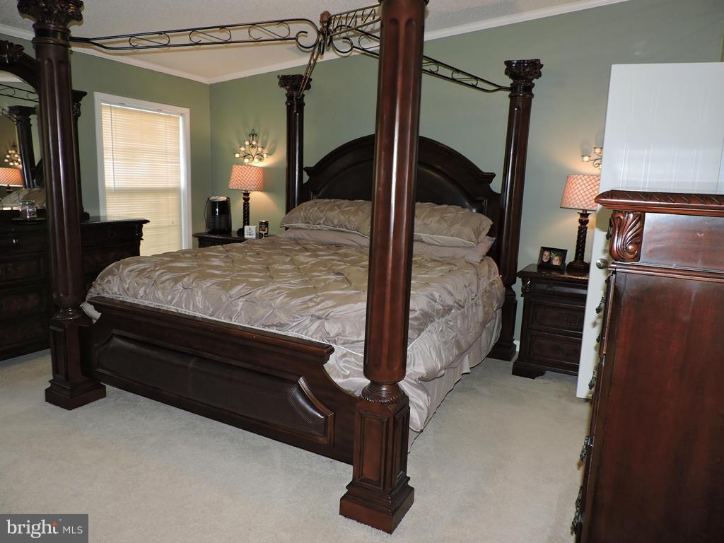 20184 Old Mill Road Culpeper, VA 22701 - Photo 9 of 29 Bedroom (Master)