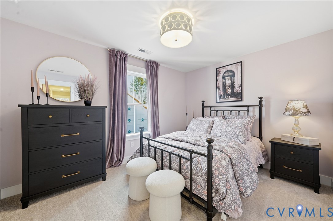 19000 Palisades Ridge Moseley, VA 23120 - Photo 17 of 66