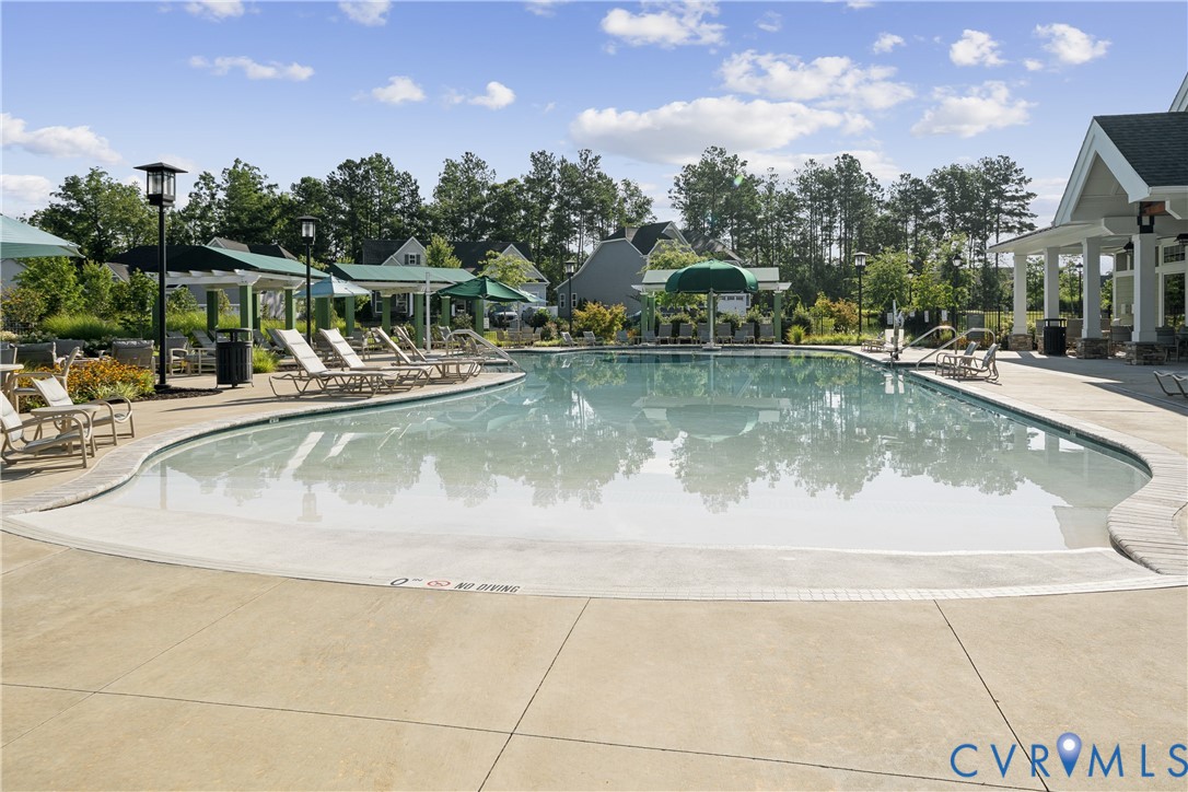 19000 Palisades Ridge Moseley, VA 23120 - Photo 43 of 66