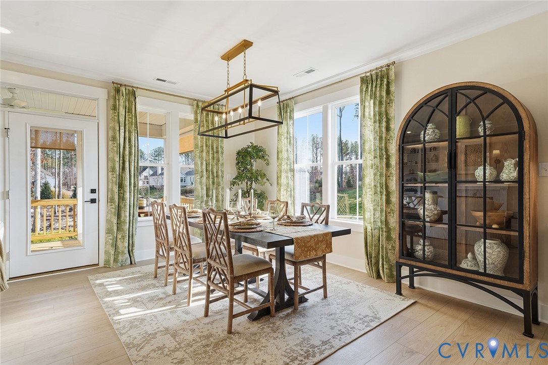 19000 Palisades Ridge Moseley, VA 23120 - Photo 6 of 66