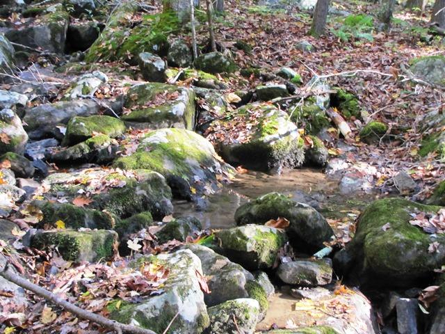 Laurel Creek Road Wayside, WV 24985 - Photo 15 of 28 Gallery Image 15