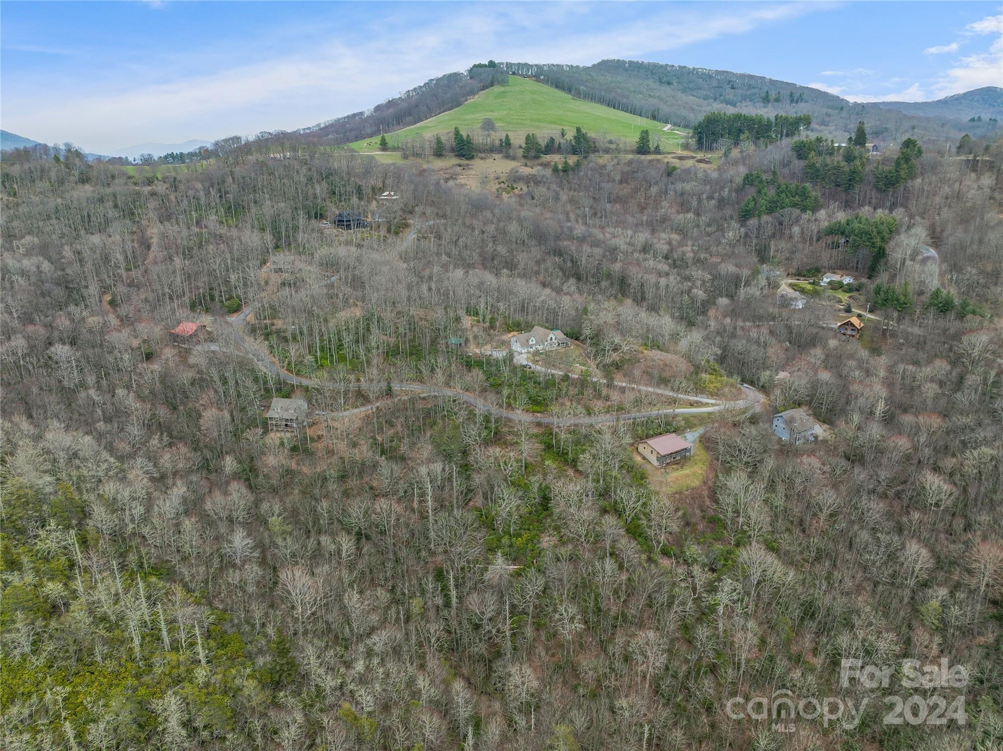 Tbd Copper Spur Road, Unit 9 Maggie Valley, NC 28751 - Photo 11 of 26 Gallery Image 11