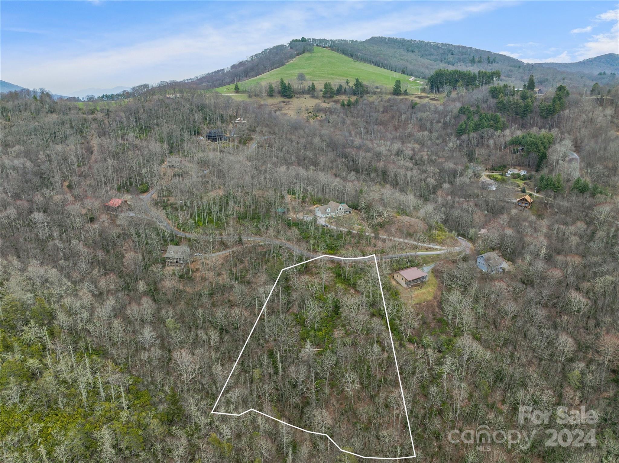 Tbd Copper Spur Road, Unit 9 Maggie Valley, NC 28751 - Photo 12 of 26 Gallery Image 12