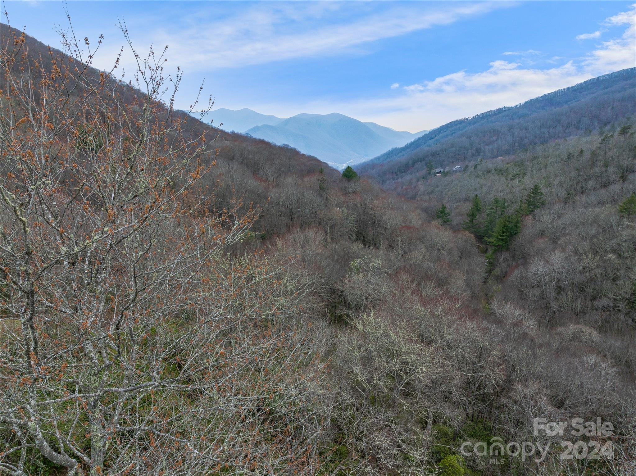 Tbd Copper Spur Road, Unit 9 Maggie Valley, NC 28751 - Photo 13 of 26 Gallery Image 13