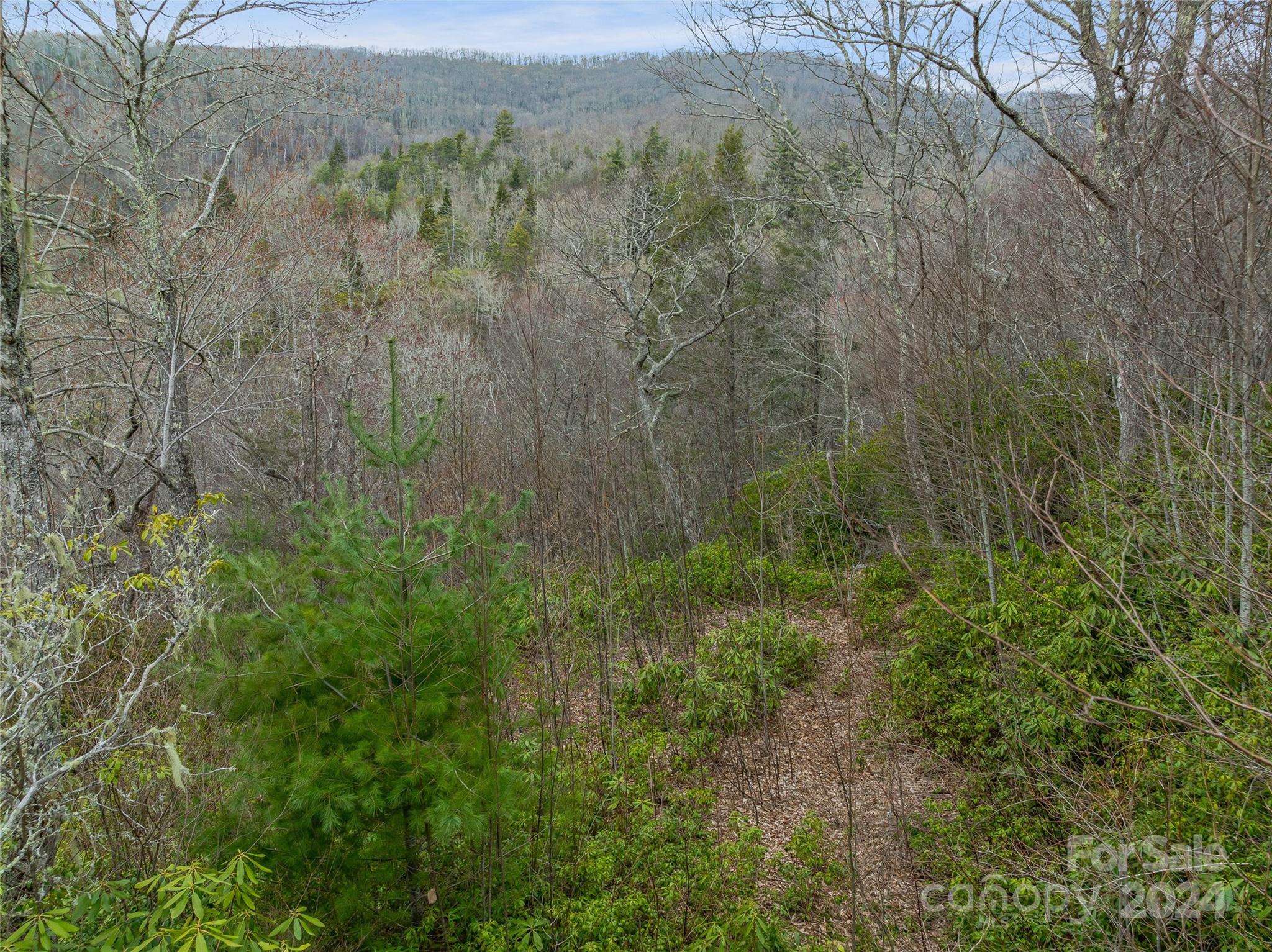 Tbd Copper Spur Road, Unit 9 Maggie Valley, NC 28751 - Photo 14 of 26 Gallery Image 14