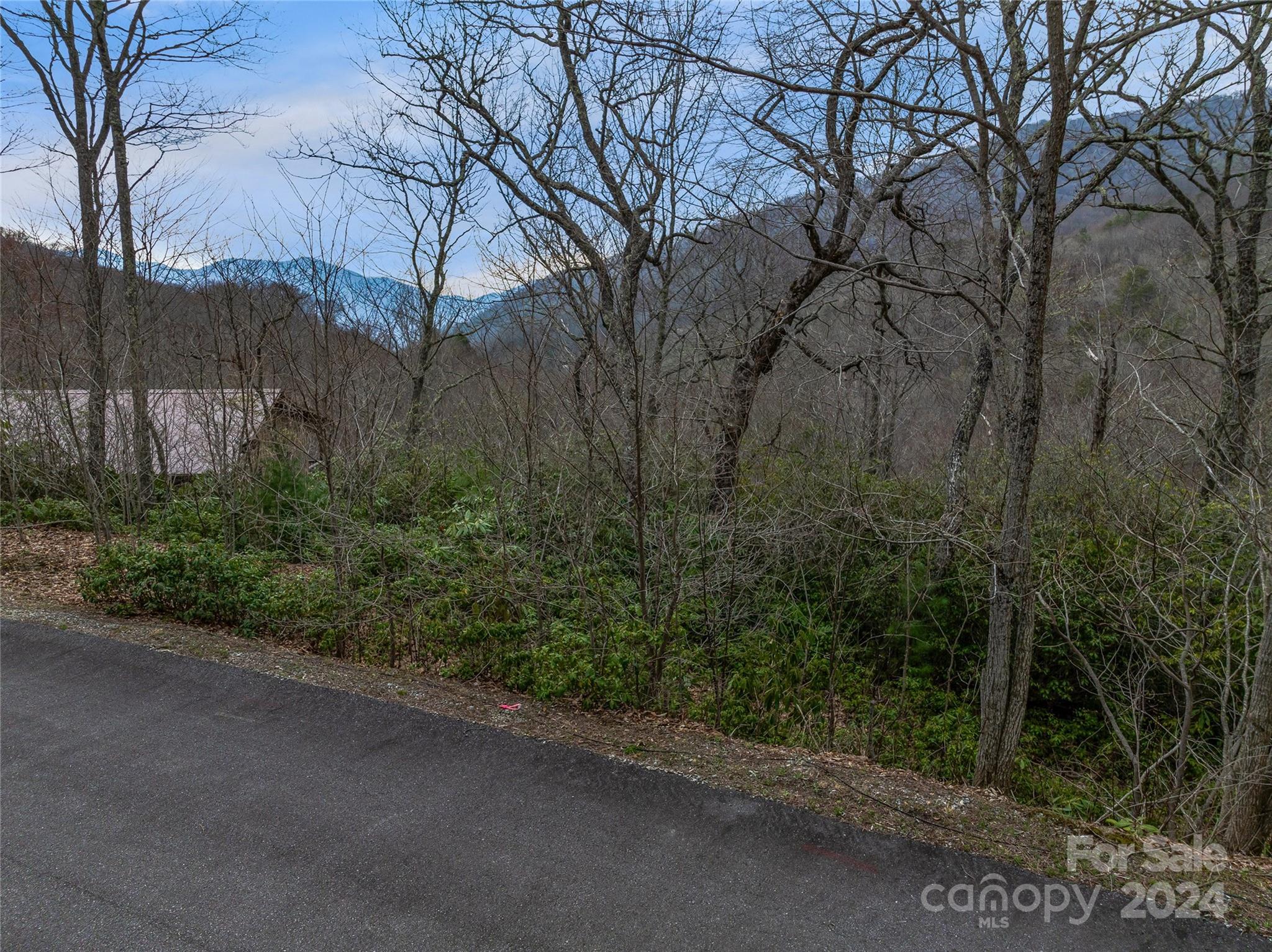 Tbd Copper Spur Road, Unit 9 Maggie Valley, NC 28751 - Photo 16 of 26 Gallery Image 16
