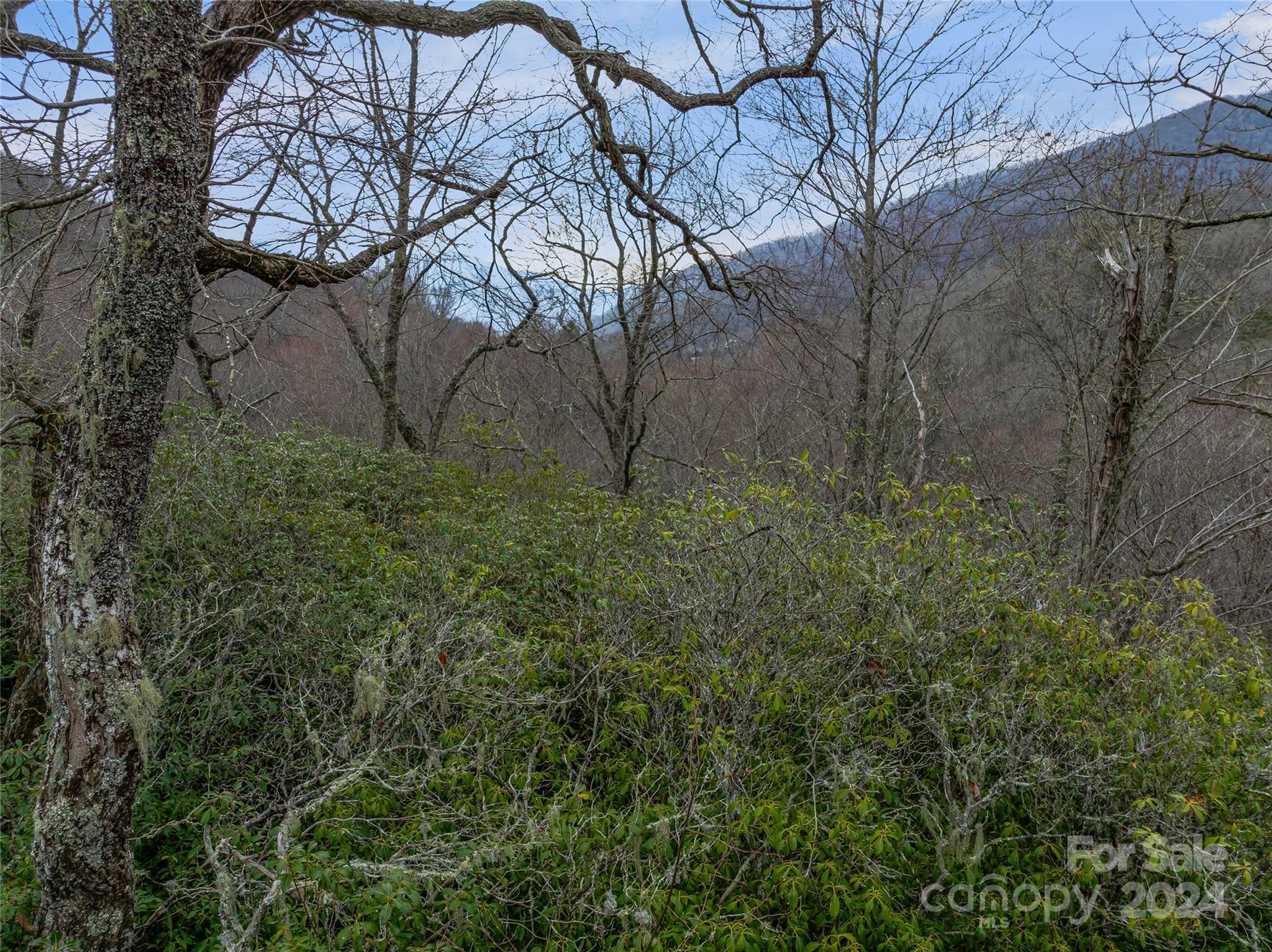Tbd Copper Spur Road, Unit 9 Maggie Valley, NC 28751 - Photo 17 of 26 Gallery Image 17