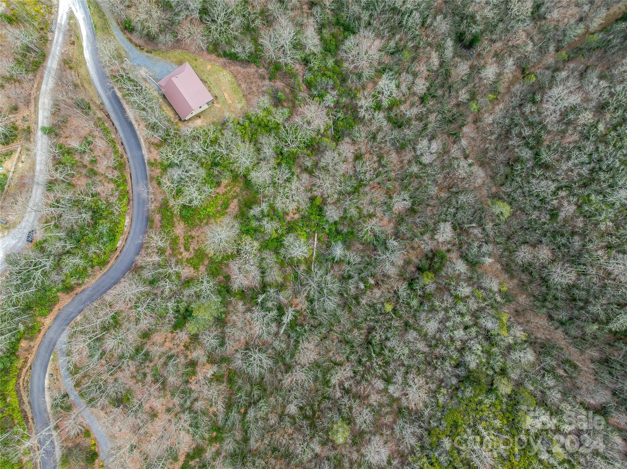 Tbd Copper Spur Road, Unit 9 Maggie Valley, NC 28751 - Photo 18 of 26 Gallery Image 18